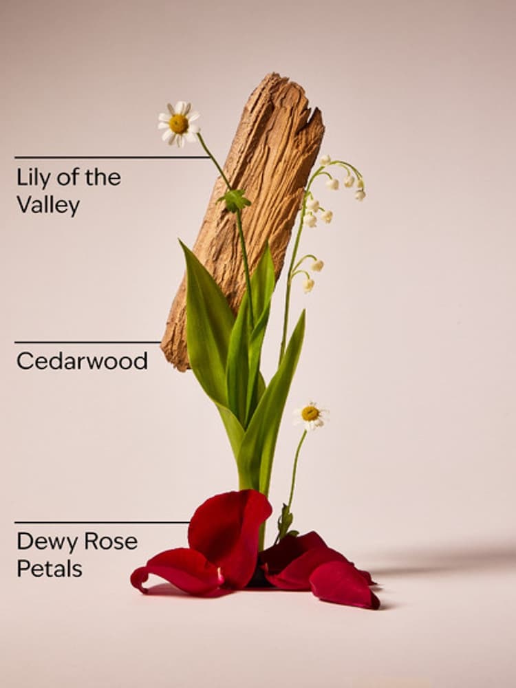 Bath & Body Works Black Chamomile Single Wick Candle 227g - Image 2 of 2 Bath & Body Works Black Chamomile Single Wick Candle 227g - Image 2 of 2