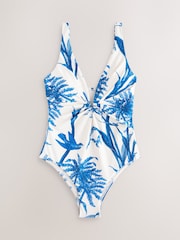 Cream/Blue Floral Plunge Tummy Control Swimsuit - Image 5 of 8