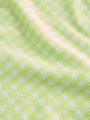 Lime Green Gingham Crinkle High Waist Leg Bikini Bottoms - Image 7 of 7