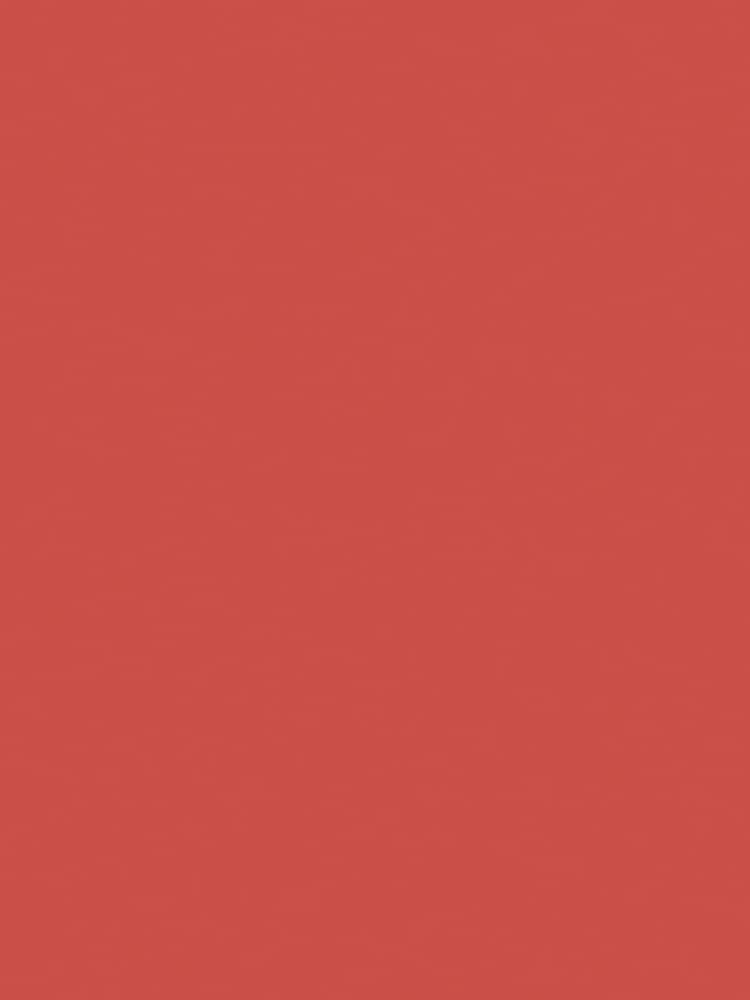 Graham & Brown King Of Paradise Resistance Ultra Durable Matt Emulsion Paint - Image 2 of 6