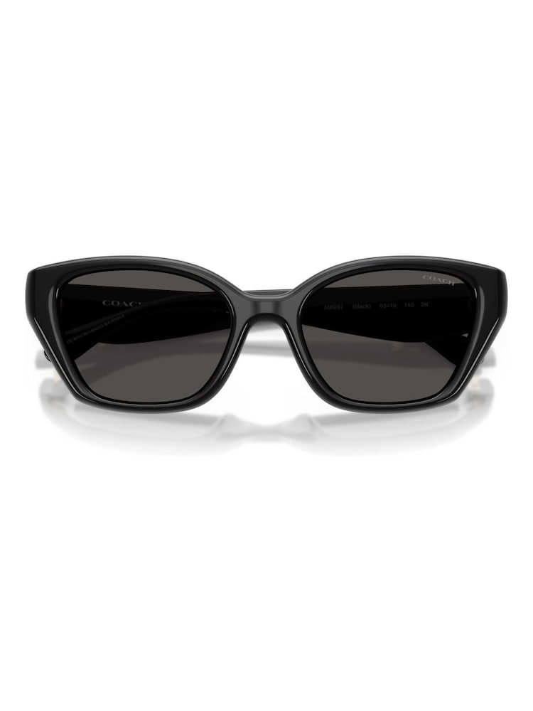 COACH 0Hc8434U Irregular Sunglasses - Bild 1 von 5