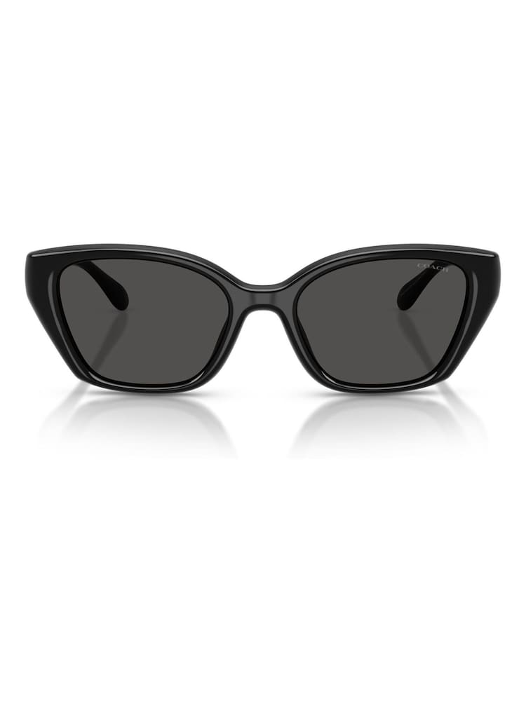 COACH 0Hc8434U Irregular Sunglasses - Bild 2 von 5