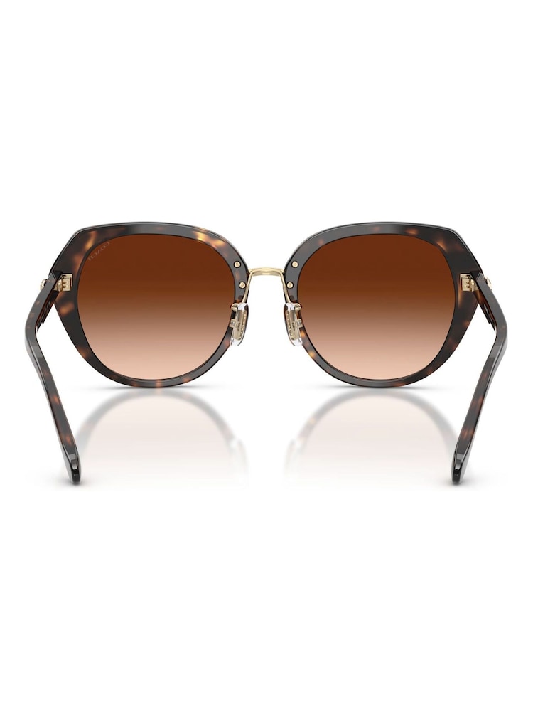 COACH 0HC8436 Uregelmæssige brune solbriller - Billede 5 af 5