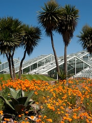 RED LETTER DAYS Visit to Kew Gardens for Two Gift Experience - Image 1 of 4