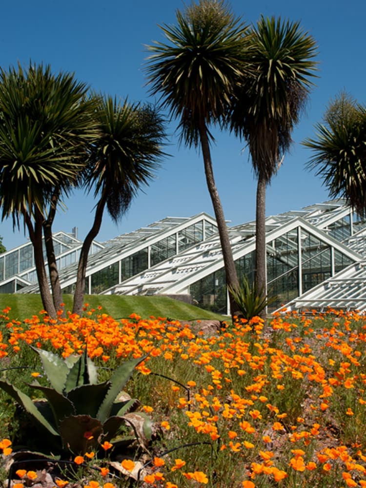 RED LETTER DAYS Visit to Kew Gardens for Two Gift Experience - Image 1 of 4