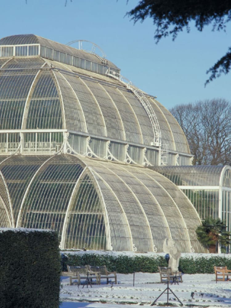 RED LETTER DAYS Visit to Kew Gardens for Two Gift Experience - Image 2 of 4