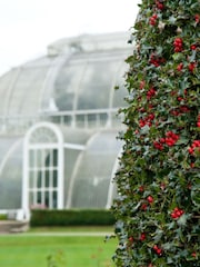 RED LETTER DAYS Visit to Kew Gardens for Two Gift Experience - Image 3 of 4