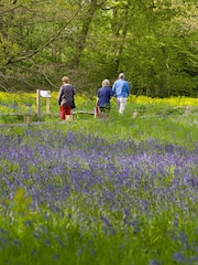 RED LETTER DAYS Visit to Kew Gardens for Two Gift Experience - Image 4 of 4