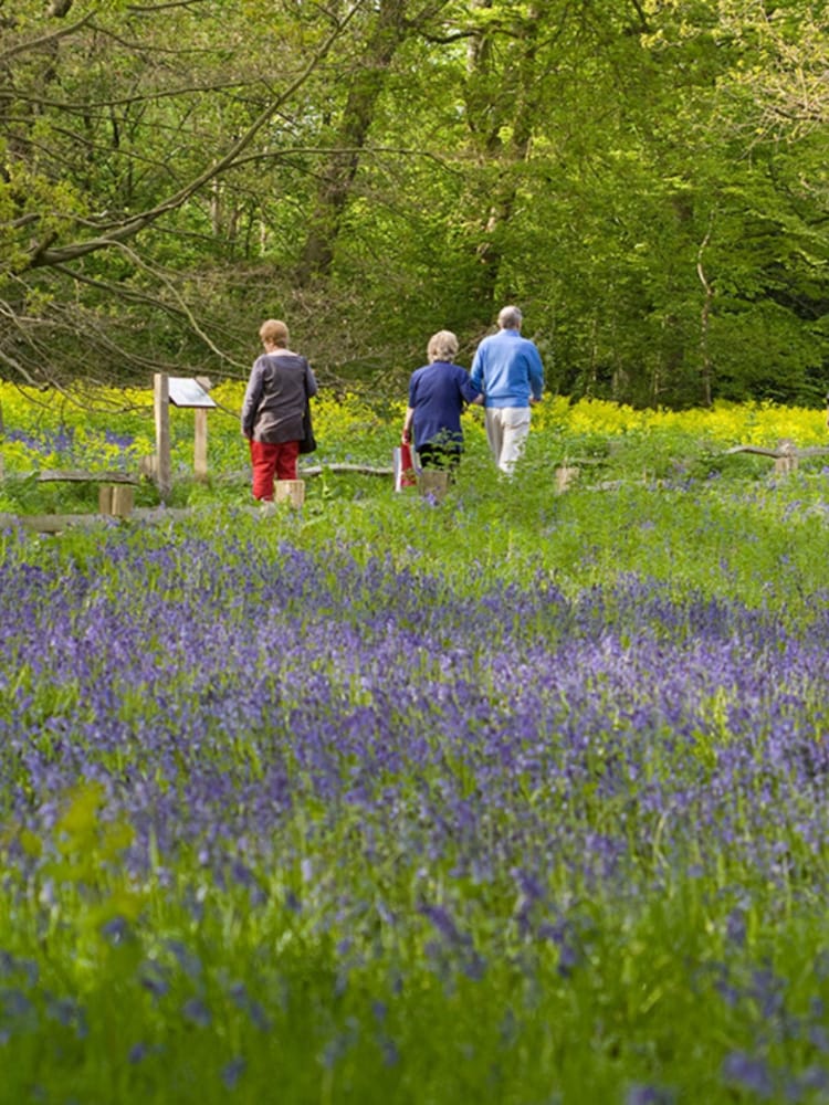 RED LETTER DAYS Visit to Kew Gardens for Two Gift Experience - Image 4 of 4