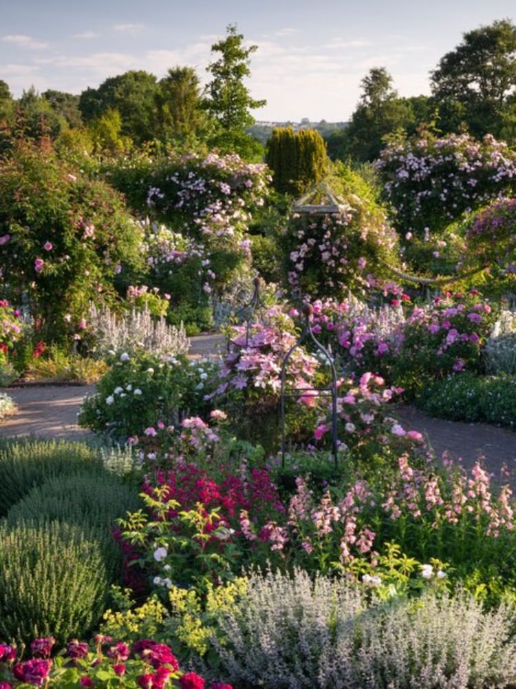 RED LETTER DAYS RHS Garden Entry for Two Adults Gift Experience - Image 1 of 4