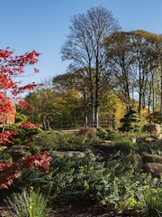 RED LETTER DAYS RHS Garden Entry for Two Adults Gift Experience - Image 3 of 4