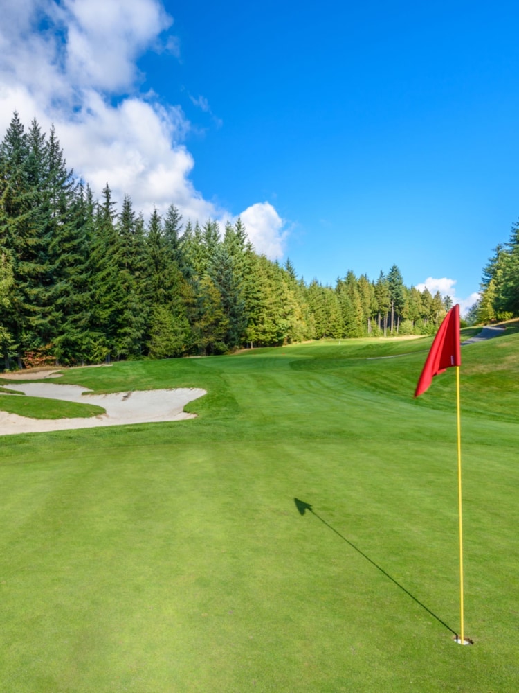 RED LETTER DAYS 60 Minute Golf Lesson With PGA Pro Gift Experience - Image 4 of 4