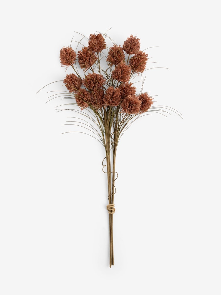 Laura Ashley Set of 3 Rust Artificial Paper Seed Head Stems - Image 4 of 4 Laura Ashley Set of 3 Rust Artificial Paper Seed Head Stems - Image 4 of 4