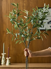Laura Ashley Set of 3 Green Artifical Olive Stems - Image 2 of 5