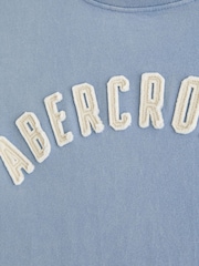 Bleu - Abercrombie & Fitch Logo Short Sleeve Crew Neck T-Shirt - Image 2 sur 2