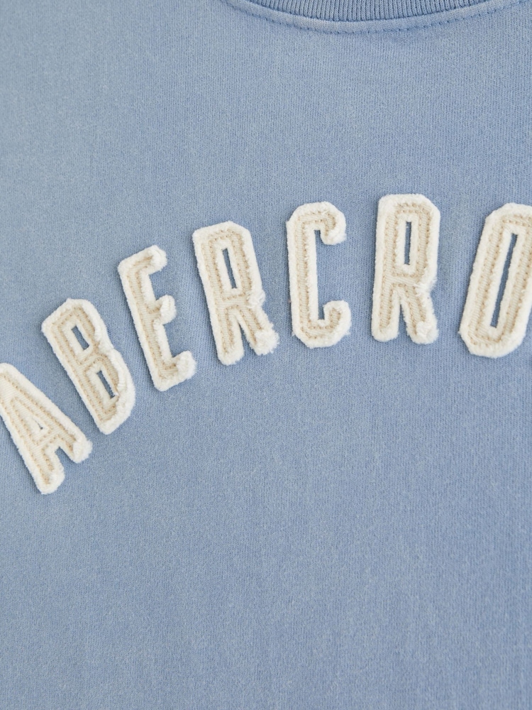 Bleu - Abercrombie & Fitch Logo Short Sleeve Crew Neck T-Shirt - Image 2 sur 2