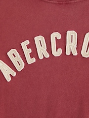 Abercrombie & Fitch Red Logo Short Sleeve Crew Neck T-Shirt - Image 9 of 9