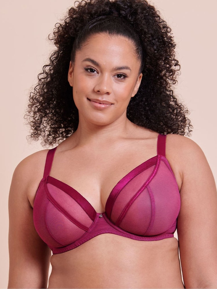 Curvy Kate Purple Lightstyle Plunge Bra - Image 1 of 7