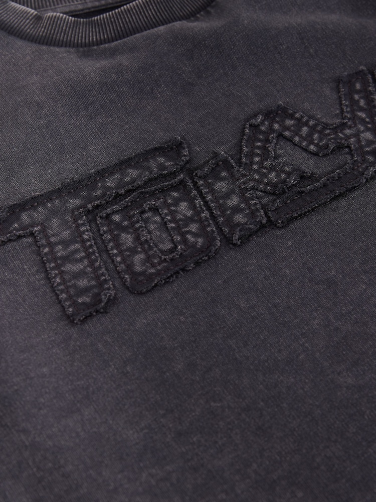 Charcoal Grey Tokyo Washed Graphic T-Shirt (3-16yrs) - Image 8 of 8 Charcoal Grey Tokyo Washed Graphic T-Shirt (3-16yrs) - Image 8 of 8