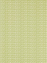 Clarke and Clarke Apple Kalpa Indira Wallcoverings A4 Wallpaper Sample - Image 1 of 1