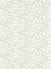 Clarke and Clarke Sage Buta Indira Wallcoverings A4 Wallpaper Sample - Image 1 of 1