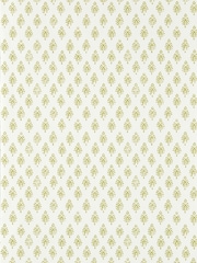 Clarke and Clarke Apple Nandana Indira Wallcoverings A4 Wallpaper Sample - Image 1 of 1