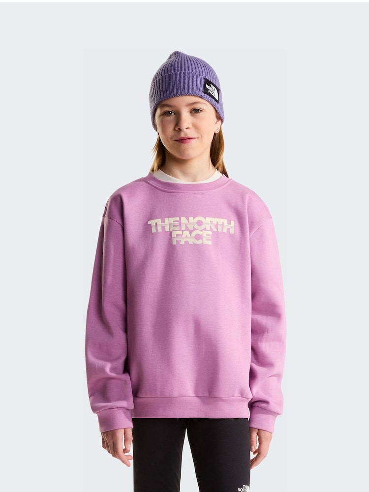 The North Face Purple Teen Chalbi Relaxed Sweat Top - Image 1 of 5