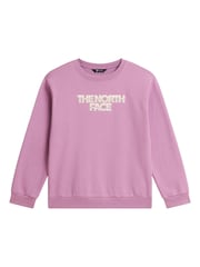 The North Face Purple Teen Chalbi Relaxed Sweat Top - Image 4 of 5