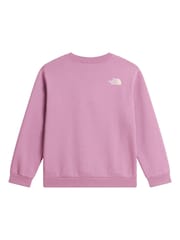 The North Face Purple Teen Chalbi Relaxed Sweat Top - Image 5 of 5