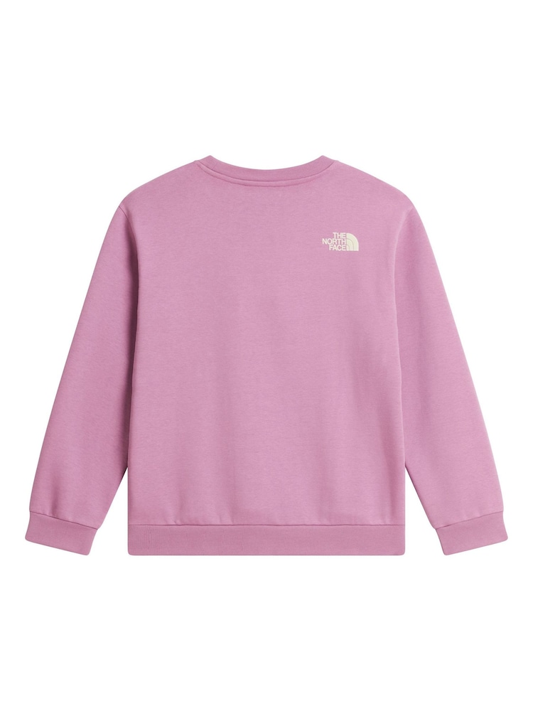 The North Face Purple Teen Chalbi Relaxed Sweat Top - Image 5 of 5
