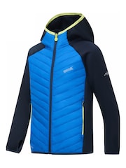 Regatta Blue Junior Andreson Hybrid Baffled Jacket - Image 7 of 10