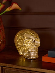 Silver Skull Battery Operated Feature Light - Image 1 of 4