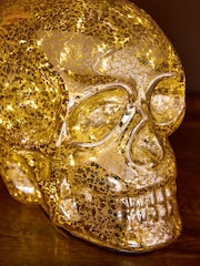 Silver Skull Battery Operated Feature Light - Image 3 of 4