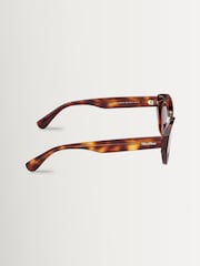 Max Mara Brown Acetate Sunglasses - Image 7 of 8