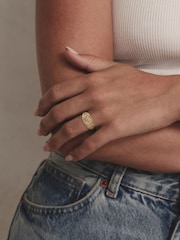 The Diamond Store Gemini Zodiac 0.01ct Lab Diamond Signet Ring in 18K Gold Vermeil - Image 6 of 6