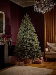 Cox & Cox Green Opulent Pine Pre-Lit 7ft Christmas Tree 7ft - Image 1 of 2
