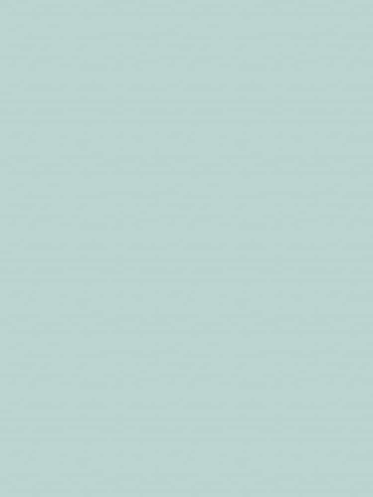 Graham & Brown Daisy Field Interior Eggshell Paint - Image 2 of 6