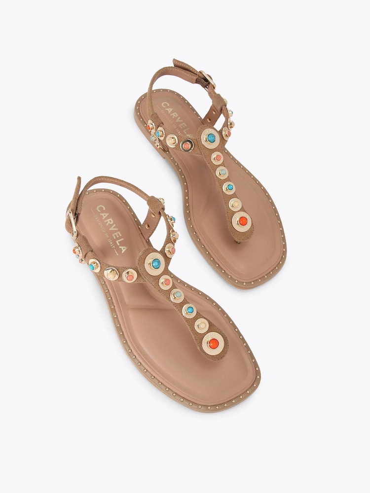 Carvela Brown Amalfi T-Bar Flat Sandals - Image 1 of 5
