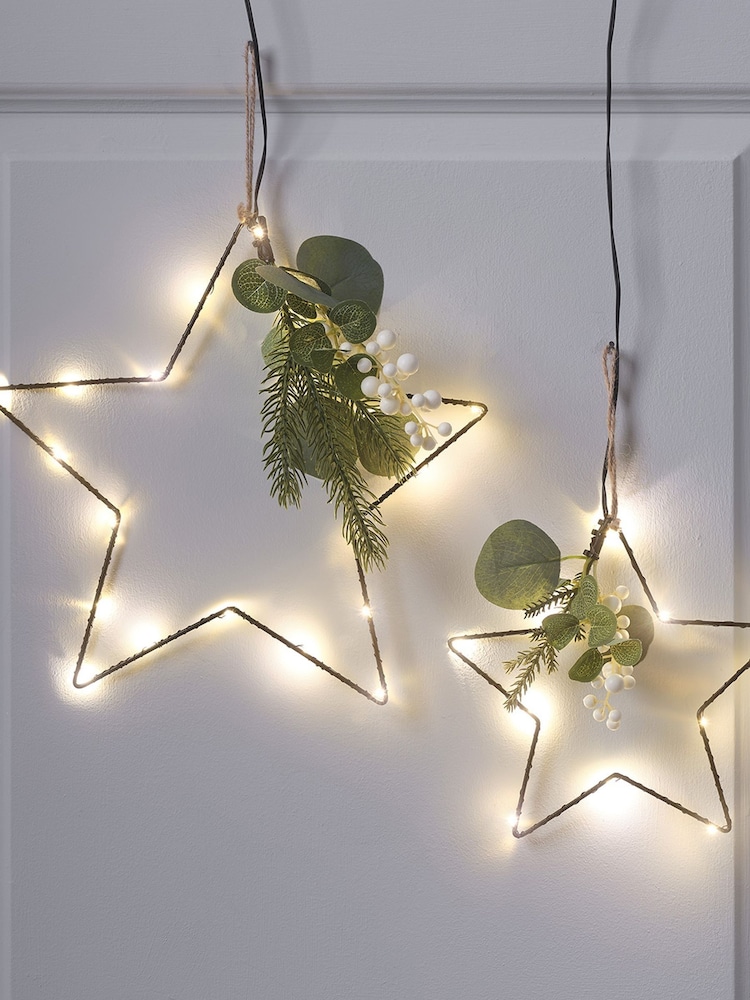 Lights4fun Set of 2 Clear Micro LED Star Lights with Winter Foliage - Image 1 of 5
