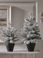 Lights4fun White 45cm Pre Lit Snowy Christmas Tree - Image 5 of 6