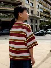 Multi Stripe Embroidered Dog T-Shirt (3-16yrs) - Image 5 of 9