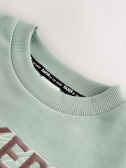 Baker by Ted Baker Sage Green Baker by Ted Baker Oversized Sweatshirt and Wide Leg Joggers Set - Image 14 of 16