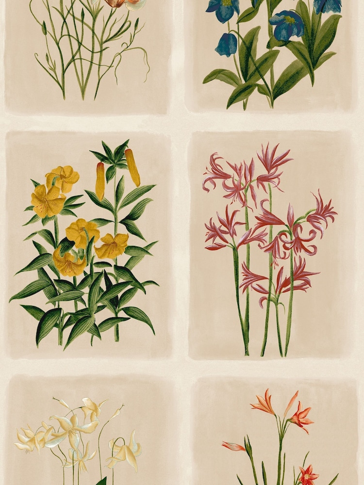 Laura Ashley Postcards A4 Wallpaper Sample - Image 2 of 4 Laura Ashley Postcards A4 Wallpaper Sample - Image 2 of 4