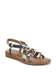 Blowfish Malibu Animal April Regular Fit Strappy Sandals - Εικόνα 3 από 7