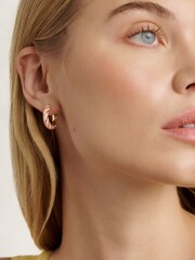 Ted Baker Gold Tone/Light Pink TIFFANY: Twist Enamel Hoop Earrings - Image 1 of 4