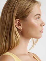 Ted Baker Gold Tone/Light Pink TIFFANY: Twist Enamel Hoop Earrings - Image 2 of 4