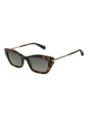 AllSaints Brown Als5039 155 Dark Tortoise 52/18-145 Sunglasses - Image 2 of 6