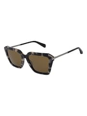 AllSaints Als5038 921 Snow Leopard 55/18-145 Sunglasses - תמונה 2 מתוך 5