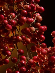 Dolce&Gabbana The One Eau De Parfum Intense 75ml - Image 4 of 8