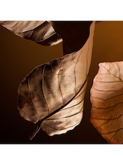 Dolce&Gabbana The One Pour Homme Eau De Parfum 50ml - Image 6 of 7